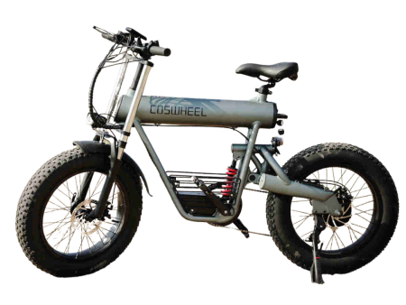 Coswheel E Bike voll elektrisch
