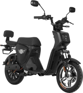 EB 250P