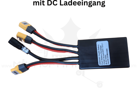 E Scooter Dual Akku Converter