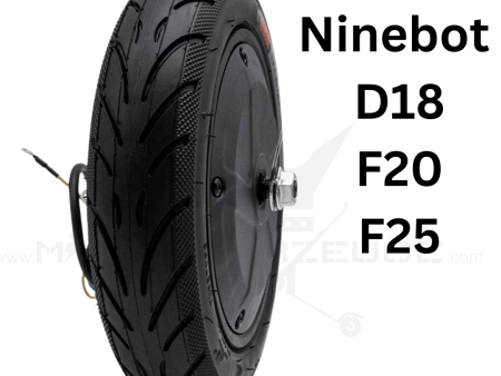 Ninebot Motor Engine 250W36V tuning Ersatzteil E-scooter F20 D18 F25