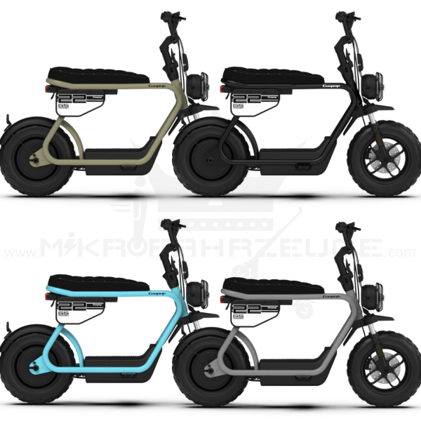 Coopop Rugged GS Elektroroller 48V 30Ah 45kmh 60km Reichweite Scooter E-Scooter Fahrzeug schwarz beige Elektrofahrzeug Rooder blau grau