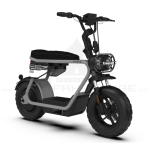 Coopop Rugged GS Elektroroller 48V 30Ah 45kmh 60km Reichweite Scooter E-Scooter Fahrzeug schwarz beige Elektrofahrzeug Rooder blau grau