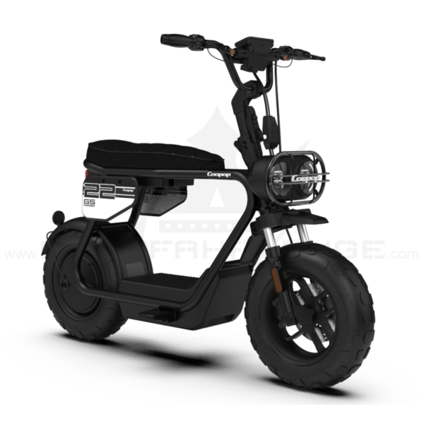 Coopop Rugged GS Elektroroller 48V 30Ah 45kmh 60km Reichweite Scooter E-Scooter Fahrzeug schwarz beige Elektrofahrzeug Rooder