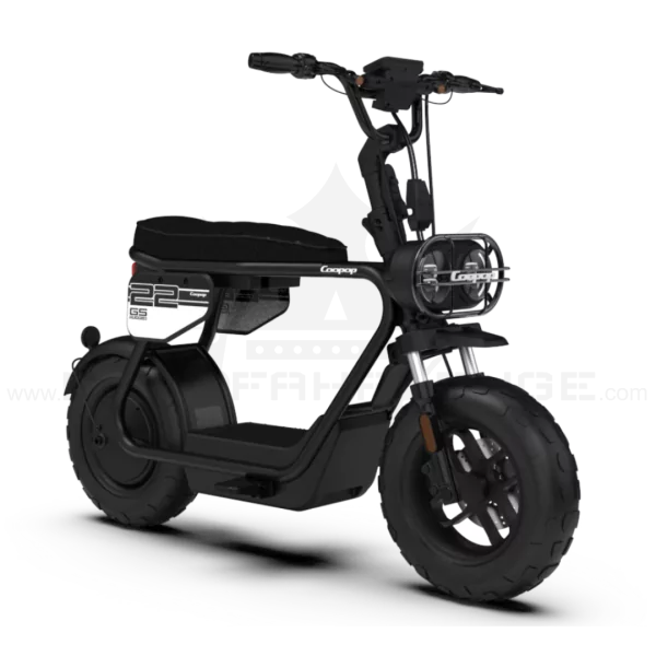 Coopop Rugged GS Elektroroller 48V 30Ah 45kmh 60km Reichweite Scooter E-Scooter Fahrzeug schwarz beige Elektrofahrzeug Rooder