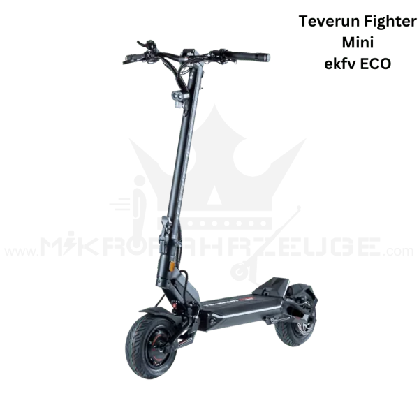 Teverun Fighter Mini ECO