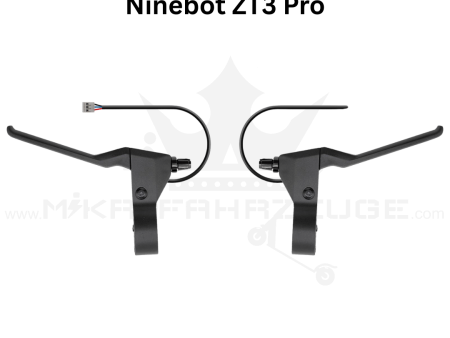Ninebot ZT3 Pro Bremshebel Rechts oder Links