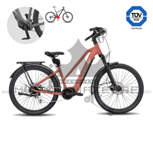 Arenox Plus Urban E-Bike – 250 W Mittelmotor, 80 Nm – Frontansicht