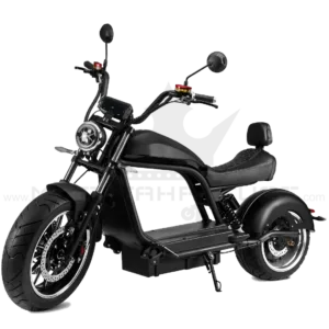 E-Chopper HL 6.0 – 3000W Elektrochopper mit Zulassung