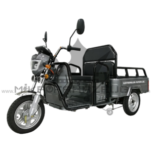E-Mobil Rhino Cargo Plus – Ansicht 1