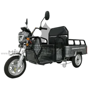 E-Mobil Rhino Cargo Plus – Ansicht 1