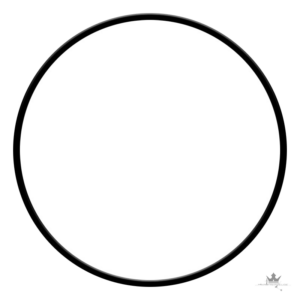 NIU KQi3 Staubschutzring – Dichtung Originalqualität – Frontansicht