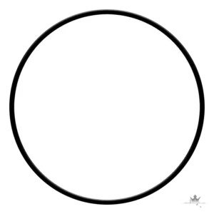 NIU KQi3 Staubschutzring – Dichtung Originalqualität – Frontansicht