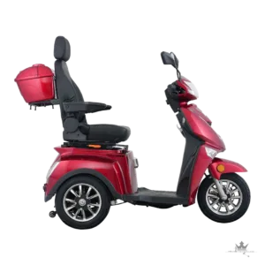 BULLBIKE Braga Elektro-Dreirad Seniorenmobil 250 W 25 km/h – Frontansicht