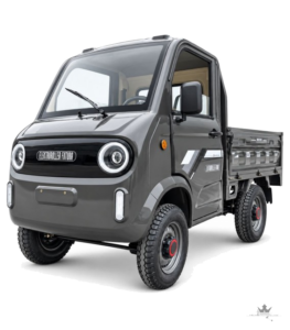Cargo Carrier Duo Elektro-Lastenfahrzeug 45 km/h – L6e-BU – Frontansicht