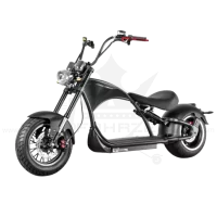 Futura X9 Rooder Arrow Mangosteen Elektro Harley Chopper