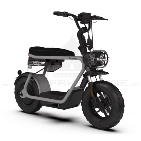 Coopop Rugged GS Elektroroller 48V 30Ah 45kmh 60km Reichweite Scooter E-Scooter Fahrzeug schwarz beige Elektrofahrzeug Rooder blau grau